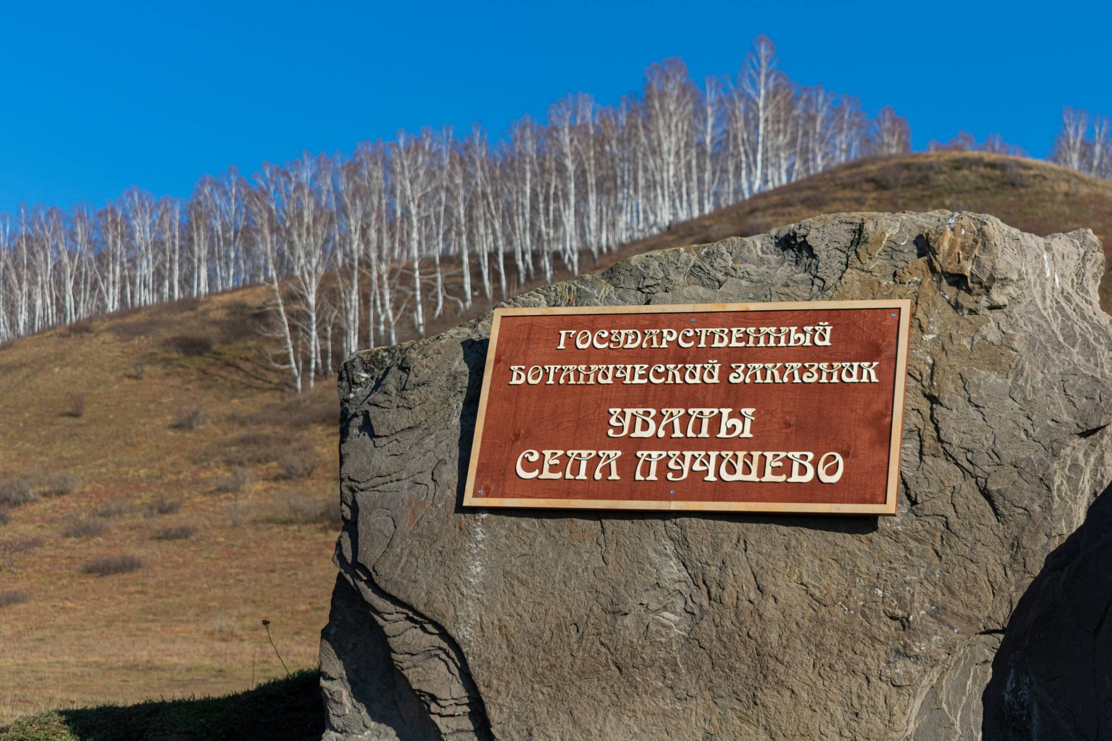 В Кузбассе при содействии угольщиков открылись экологические тропы