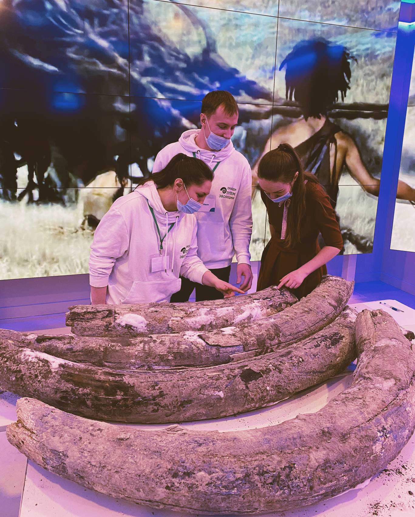 Очередная находка горняков «Кузбассразрезугля» -  на Кедровском разрезе найдены кости древних животных